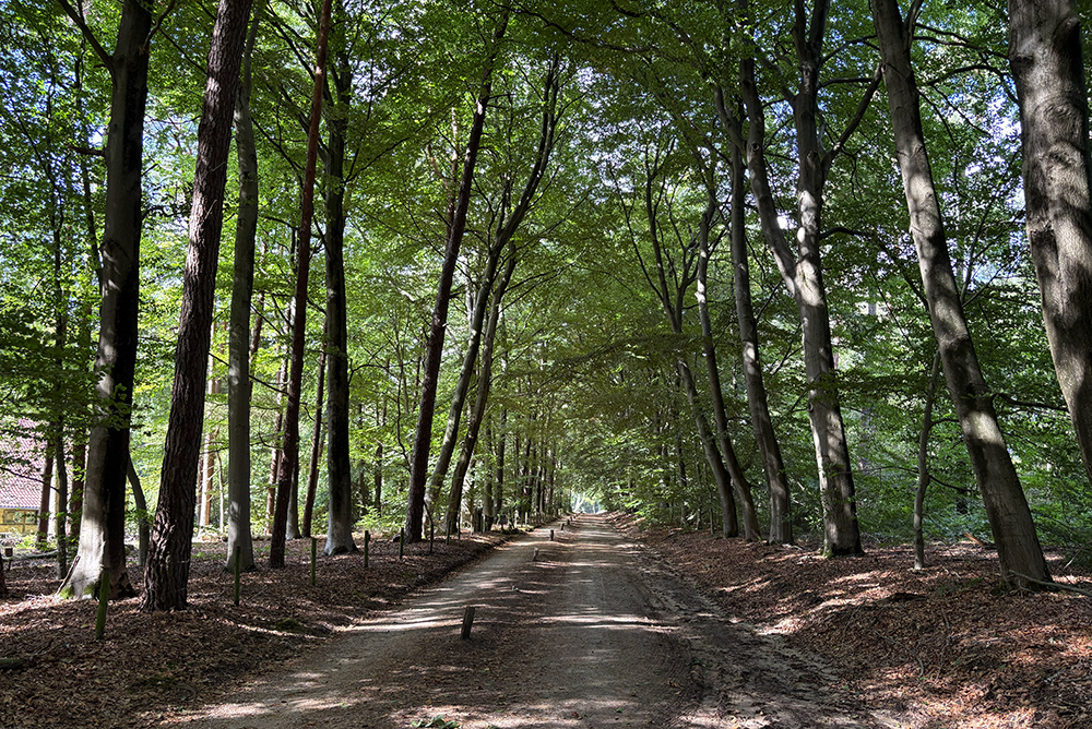 Omdat de tijd soms best even uit mag…